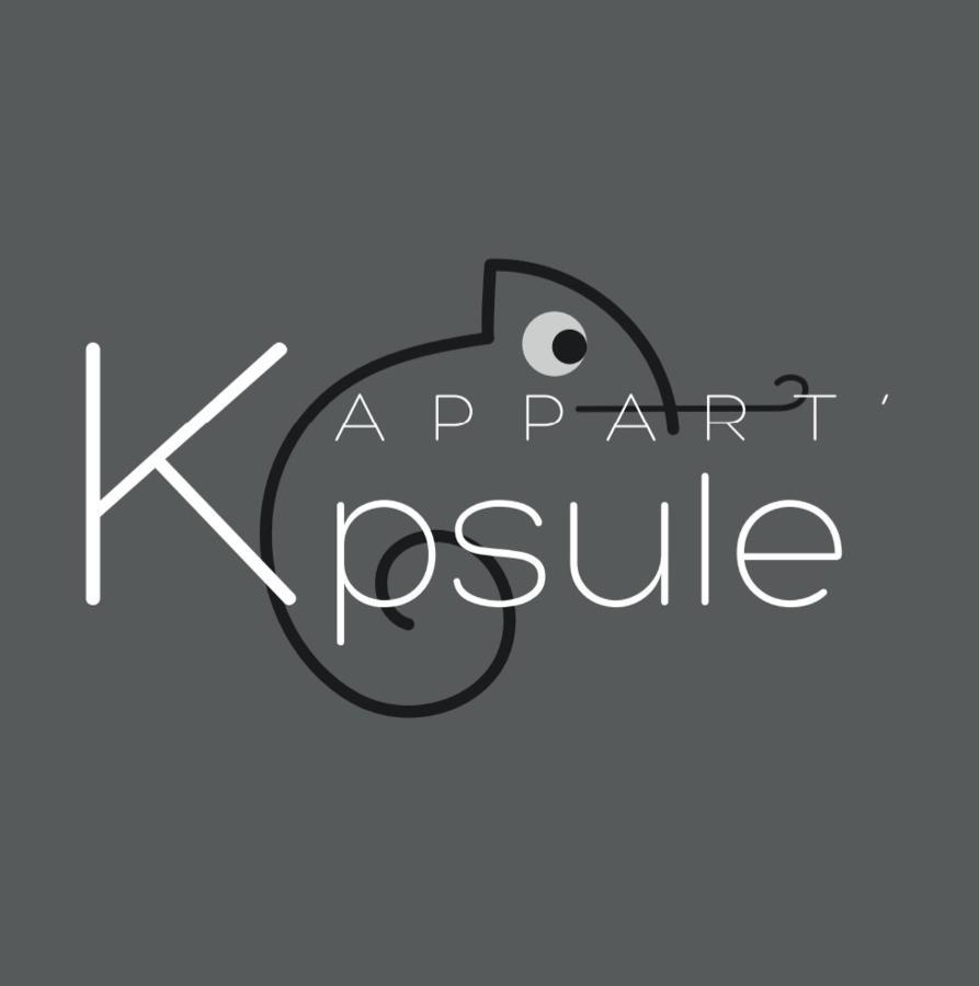 L'Appart K-Psule - Design, Tout Confort, Centre-Ville, 3 Pers Le Mans Dış mekan fotoğraf